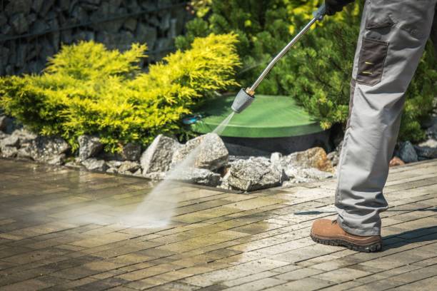 Best Winterizing Services  in Lake Placid, FL