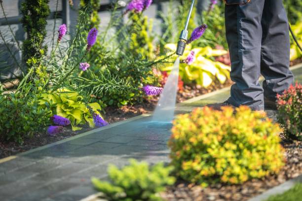 Trusted Lake Placid, FL  Pressure Washing Services Experts